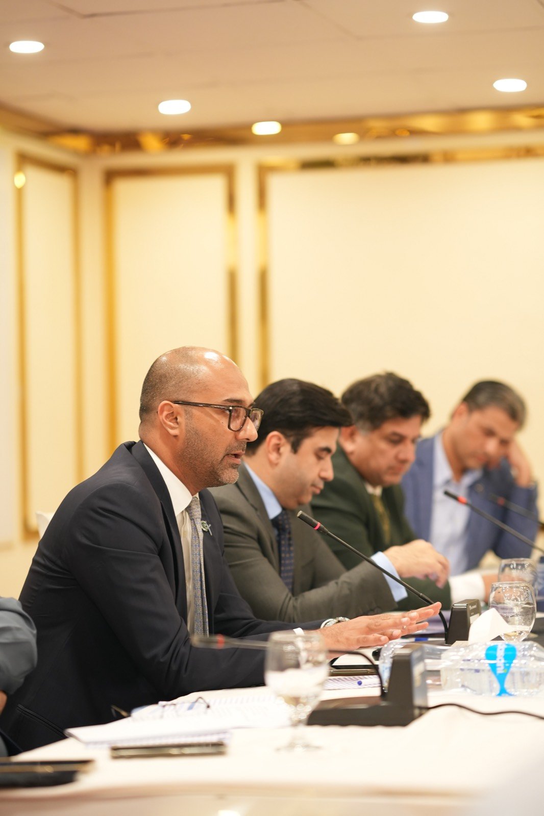 A panellist speaking during the Dialogue
